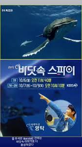 추석 특선다큐 바닷속 스파이