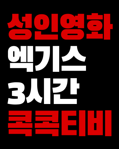 성인영화 액기스